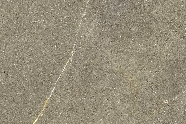 マディソン ノーチェ